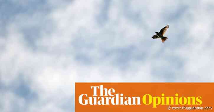 The Guardian view on birdsong: a fragile joy | Editorial