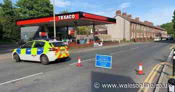 Homes evacuated after suspected bomb found in back garden