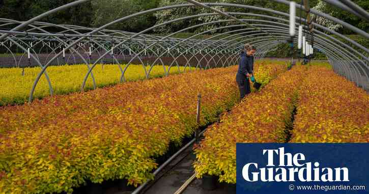 UK garden centres prepare for sales surge to end lockdown disaster