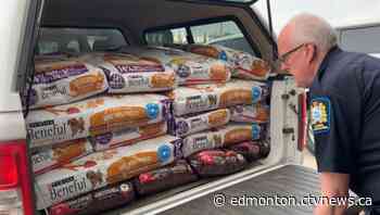 Pet food program expanded to Edmonton during COVID-19 - CTV News Edmonton