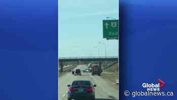 Police shooting leads to closure of QEII south of Edmonton | Watch News Videos Online - Globalnews.ca