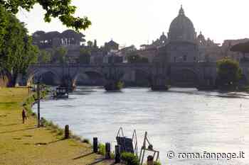 Roma insolita e meravigliosa: sulle sponde del Tevere è cresciuta l’erba - Roma Fanpage.it