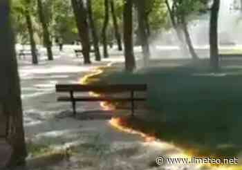 Il prato prende fuoco ma l'erba resta intatta: il video è surreale - Ilmeteo.net