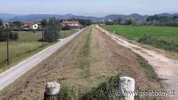 Argini del Fiume Serchio: partiti i lavori del taglio della vegetazione - PisaToday