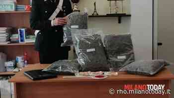 Va in giro senza mascherina con 50mila euro di "erba" nel baule: arrestato - MilanoToday