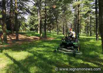 Parco Castello, operai al lavoro per il taglio dell'erba - LegnanoNews