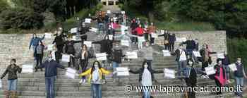 I negozi di Erba «Fateci riaprire» - Cronaca, Erba - La Provincia di Como