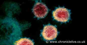 Six Covid-19 rumours and myths which are totally false - and how to spot them