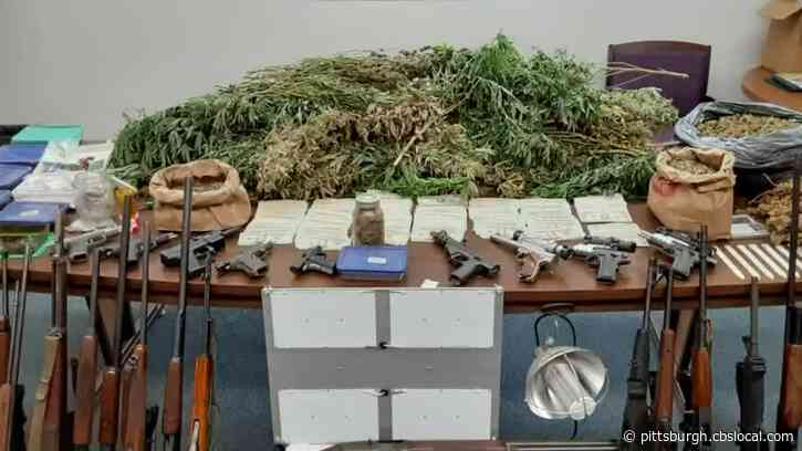 Police: Penn Hills Man Who Led Investigators Through His ‘Large Scale And Elaborate’ Marijuana Grow House Faces Charges