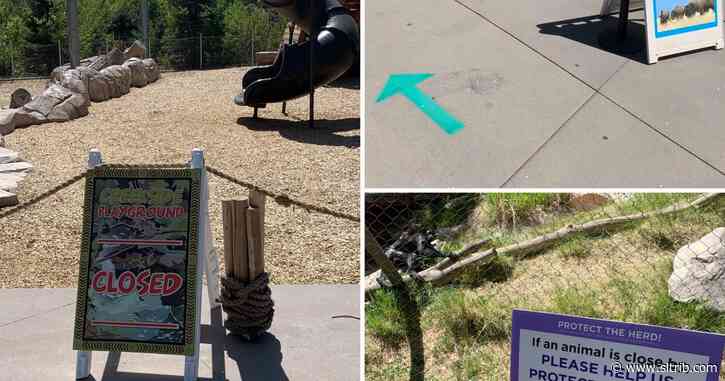 Daryl Austin: If our recent trip to Hogle Zoo is the future, we’re going to be OK