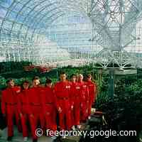 To Stream Or Not To Stream? Arthouse Film Distributors Face Quandary With This Year’s New Releases