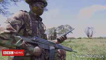 How the Covid-19 pandemic is threatening Africa’s wildlife