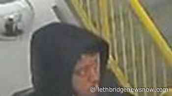 Ottawa police seek exam answers following alleged paper pilfering - Lethbridge News Now