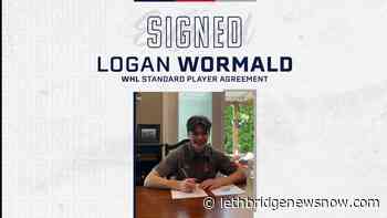 Hurricanes sign third-round daft pick Logan Wormald - Lethbridge News Now