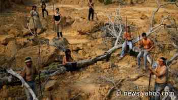 Brazil's Amazon: Surge in deforestation as military prepares to deploy