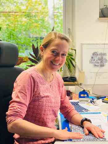 „Wirtschaft wieder auf das Niveau heben, welches wir gewohnt sind" - PresseBox.de