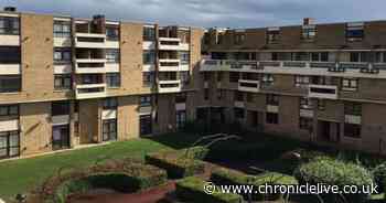 One of the cheapest North East properties goes on sale - for just £5,000