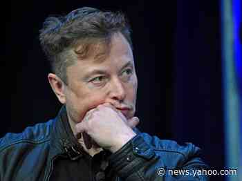 Elon Musk says he sympathizes with 'anti-globalization people' because the online world is too interconnected and could lead to a 'mind virus'