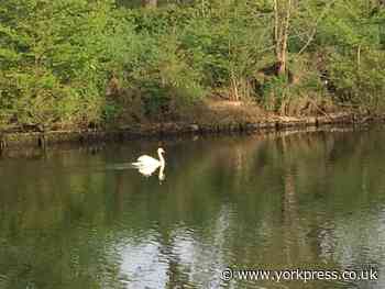 22C in York today - but thunderstorms possible ... and tomorrow will be 13C colder