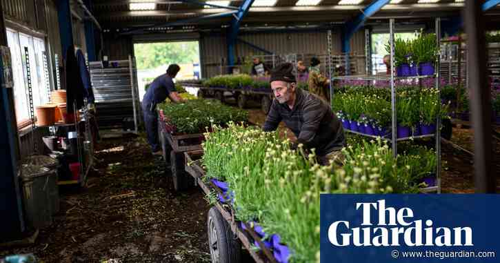 PM's plan to ease UK lockdown 'likely to be in line with Wales'