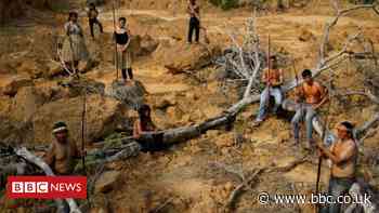 Brazil's Amazon: Surge in deforestation as military prepares to deploy