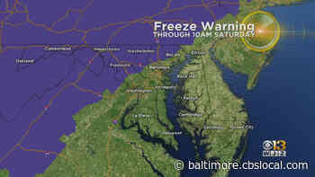 Maryland Weathers: Areas West Of Baltimore Under Freeze Watches, Warnings - CBS Baltimore