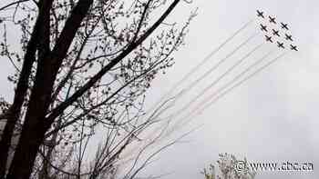 Snowbirds scrap Saturday flyover in southern Ontario due to weather