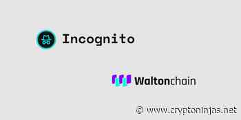 Incognito brings privacy to Waltonchain's WTC token » CryptoNinjas - CryptoNinjas