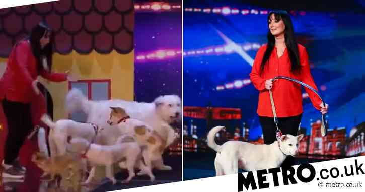 Britain’s Got Talent viewers ‘ugly crying’ at heartbreaking rescue dog magic act
