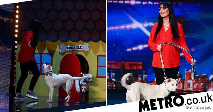 Britain’s Got Talent: Rescue dog magic act leaves the judges and audience in tears