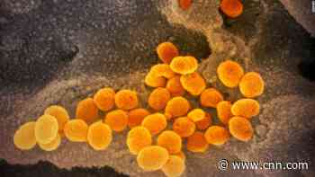 Coronavirus cases surpass 4 million worldwide