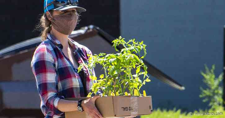 First-time ‘panic’ gardeners flood Utah nurseries during coronavirus pandemic