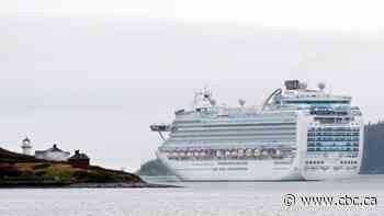 Canadian crew stranded on 2 cruise ships finally allowed home