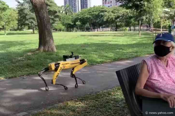 A terrifying mechanical dog is now stalking a Singapore park to make sure people stay properly distant