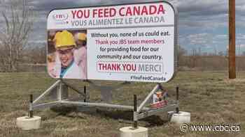 Asymptomatic testing to begin in Alberta city as 7% of the population tests positive for COVID-19