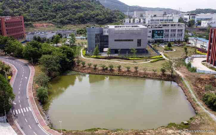 US and UK intelligence agencies 'examining report on mobile phone data at Wuhan laboratory'