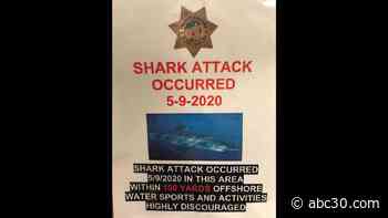 26-year-old surfer dies after shark attack in northern California, officials say