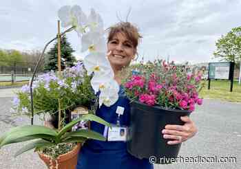 Flowering plants bring cheer to front-line medical workers - RiverheadLOCAL