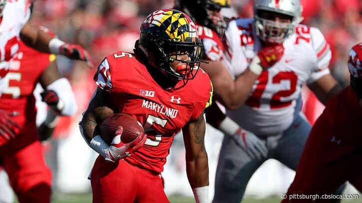 Steelers Rookies Adapting To ‘Virtual’ Path As They Start Their Careers Amid Coronavirus Outbreak