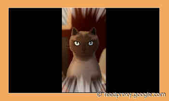 Cats Your Vote mobile game aims to boost U.S. election awareness