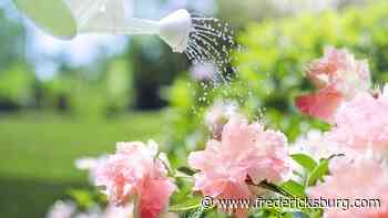 5 incredibly useful garden gadgets | Lifestyles | fredericksburg.com - Fredericksburg.com