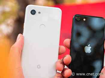 iPhone SE vs. Google Pixel 3A cameras: Both phones compared     - CNET