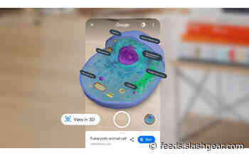 Google Search new AR content lets kids learn while having fun