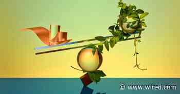 How Much Is a Human Life Worth, In Dollars?