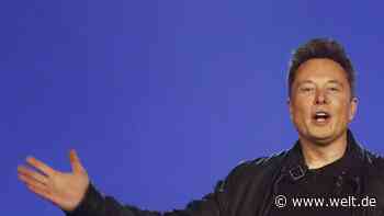 Elon Musk droht mit Abzug von Tesla-Werk aus Kalifornien