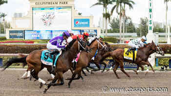 Gulfstream Park Pick 5 odds, predictions: Handicapping champion reveals May 10 horse racing best bets