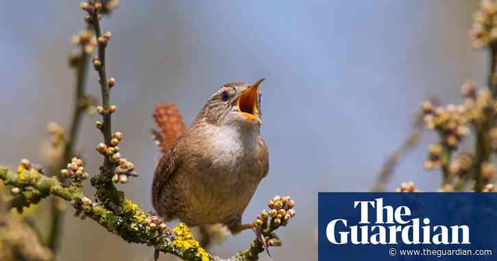 After coronavirus, focus on the climate emergency | Letters