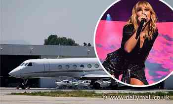 Taylor Swift sells one of TWO private jets in her collection days before coronavirus lockdown