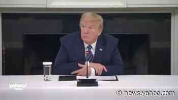 Without any evidence, Trump says coronavirus will go away without a vaccine