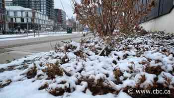 Frost advisory in effect for Toronto as several centimetres of snow possible tonight
